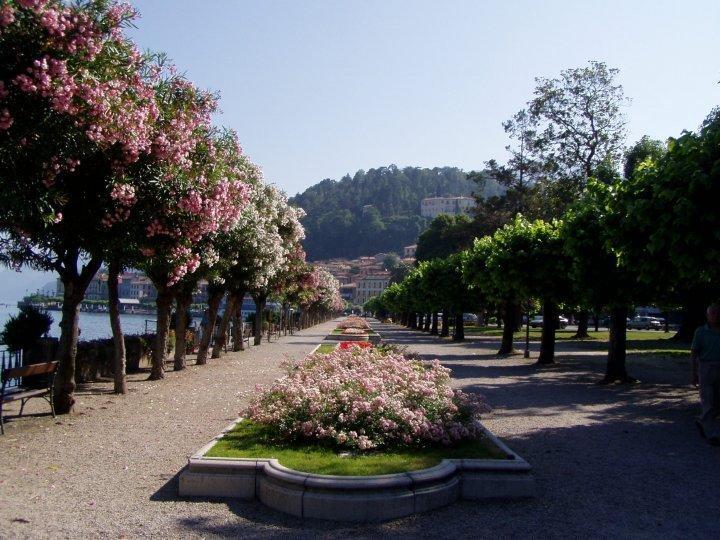 B&B Sosta Sul Lago Lezzeno Extérieur photo